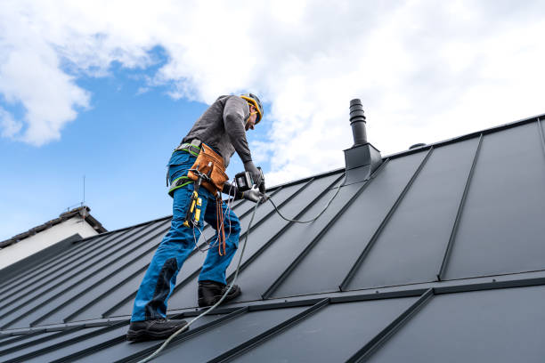 Best Skylights  in Longtown, OK