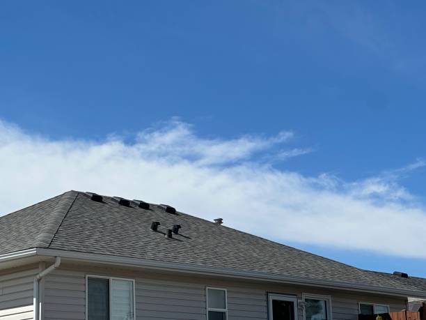 Best Roof Ventilation Installation  in Longtown, OK